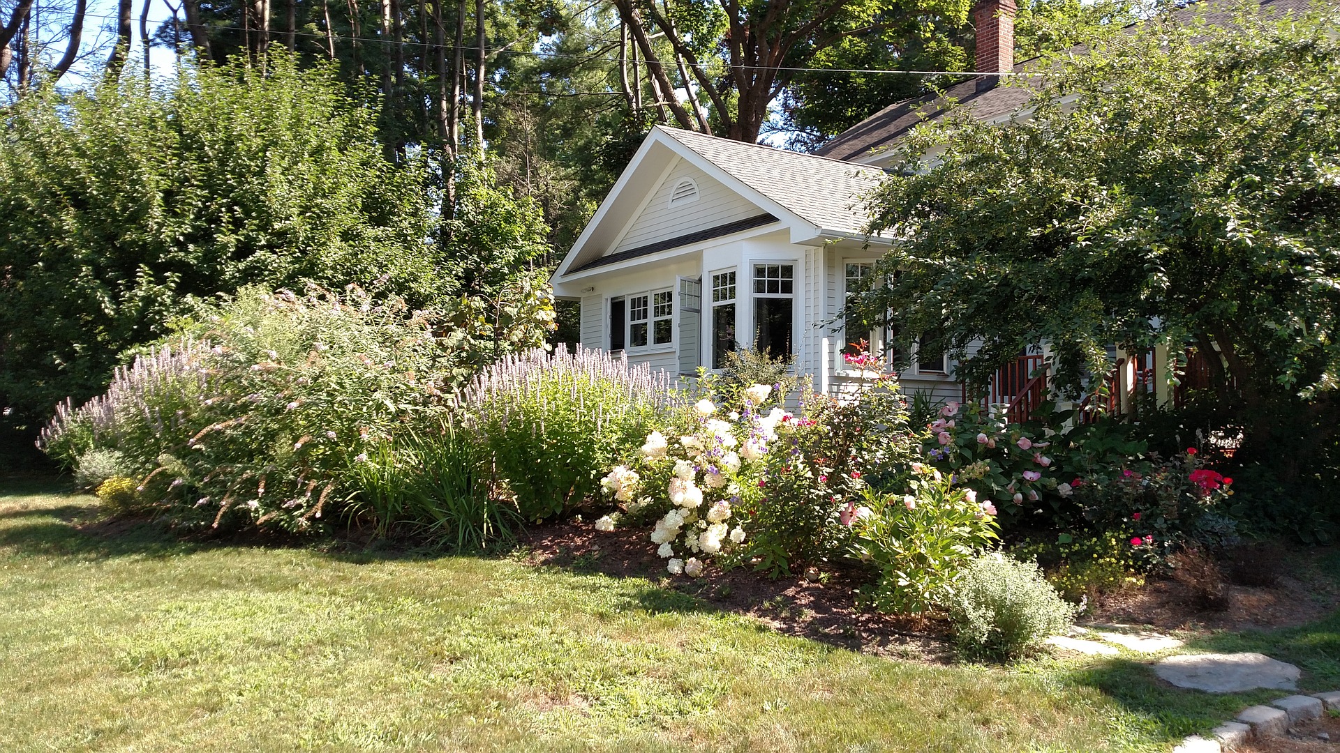 lush garden of a house